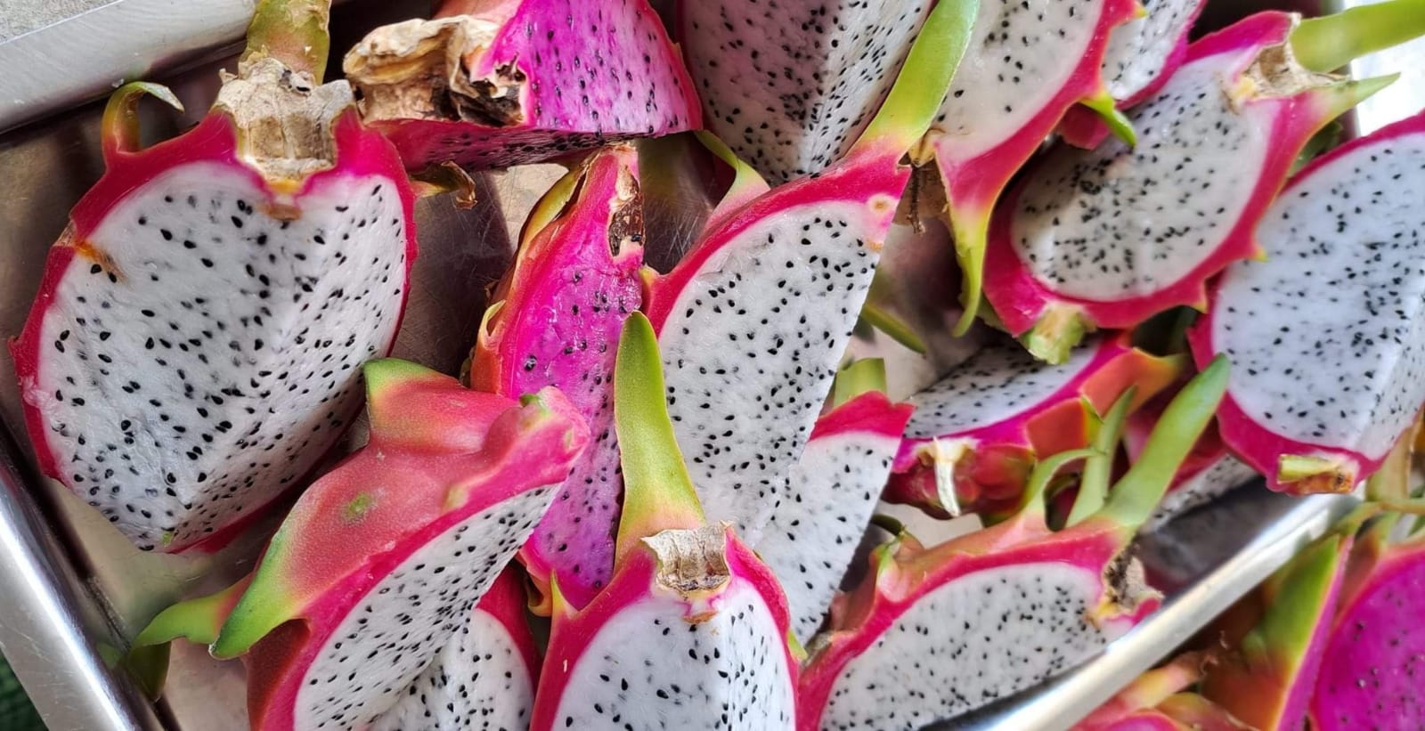 Pitahaya 1