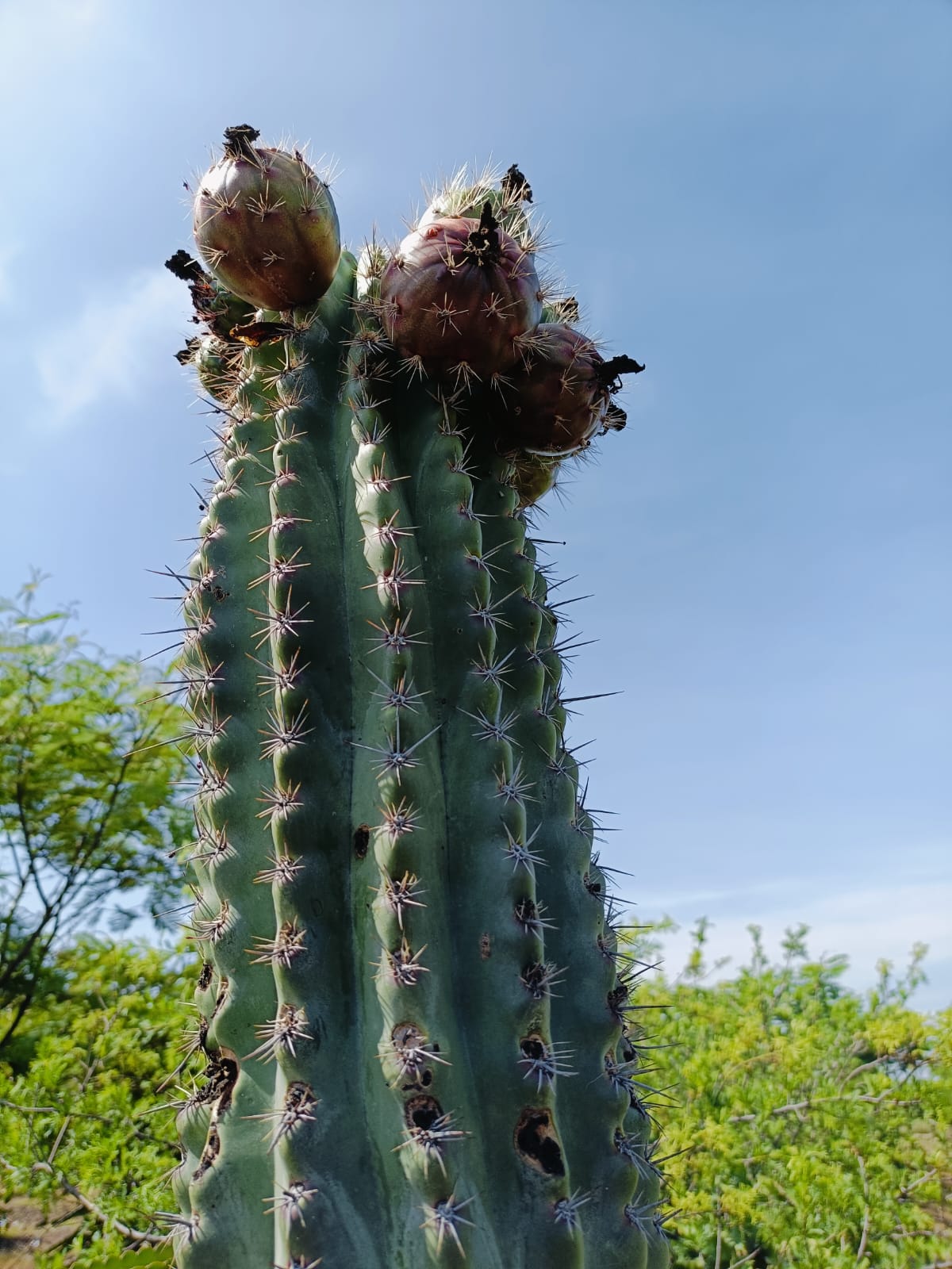 Responsabilidad Social