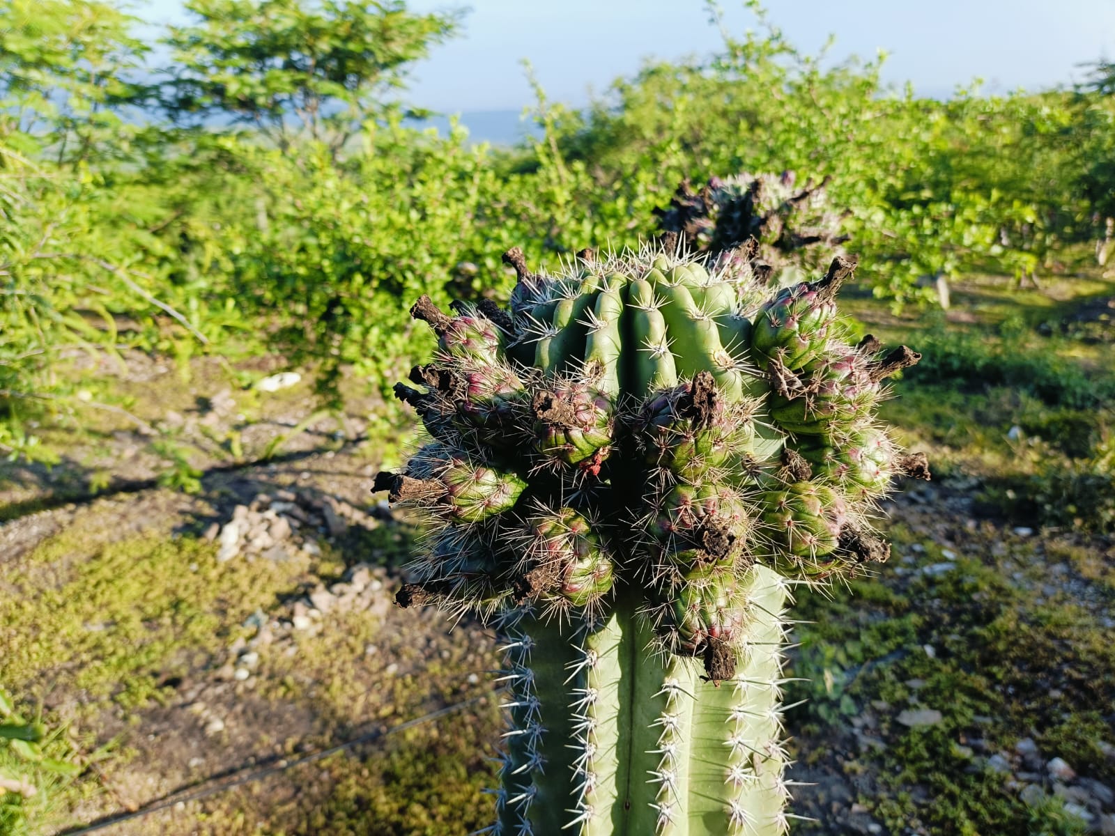 Responsabilidad Social
