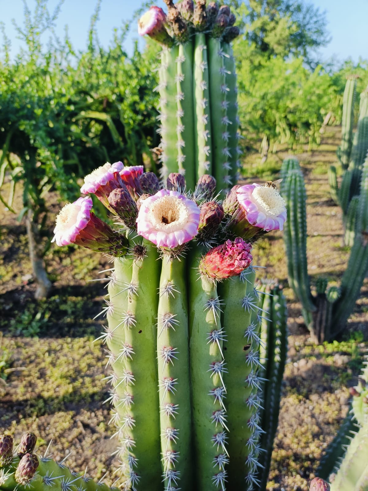 Responsabilidad Social