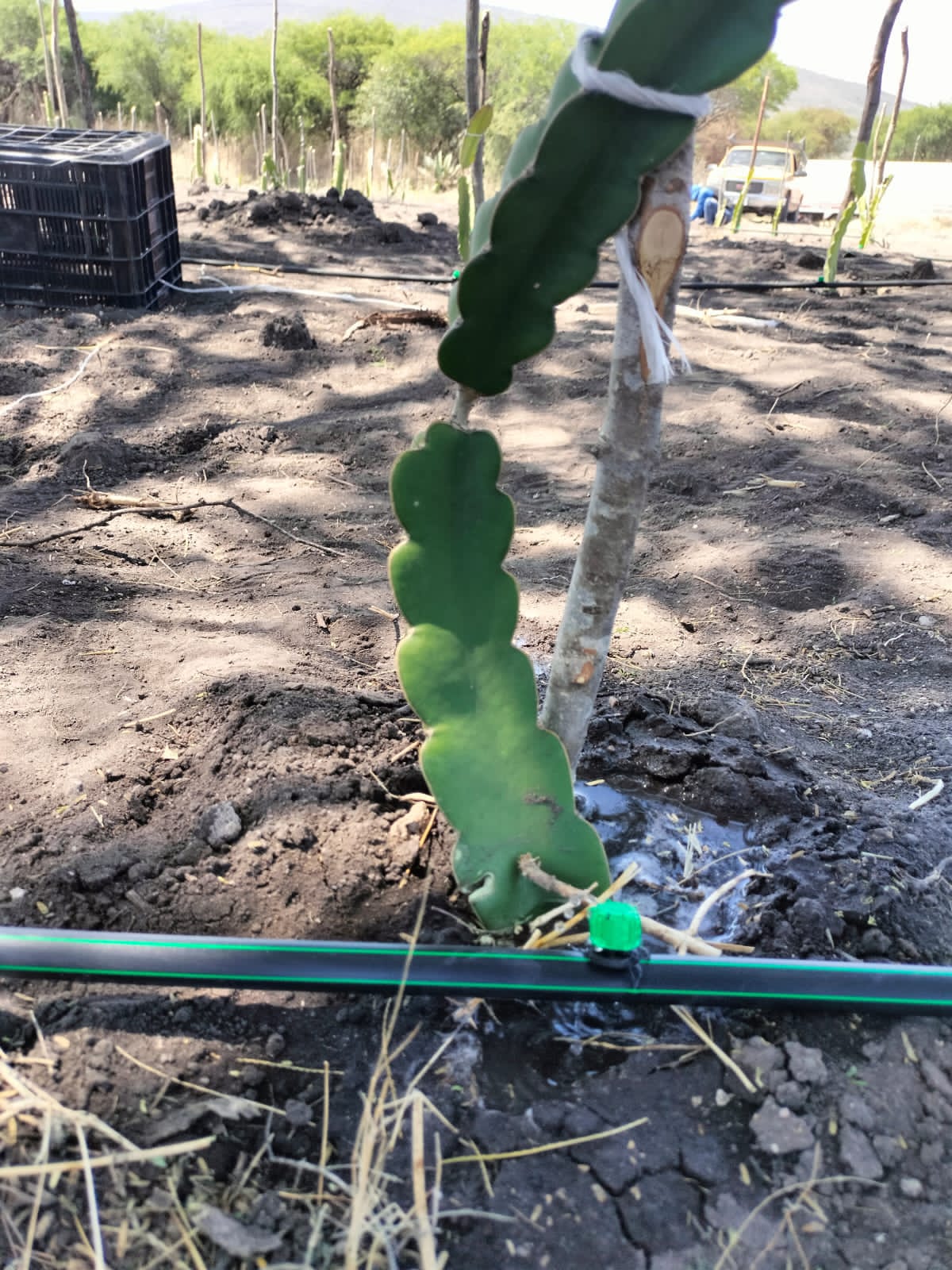 Responsabilidad Social