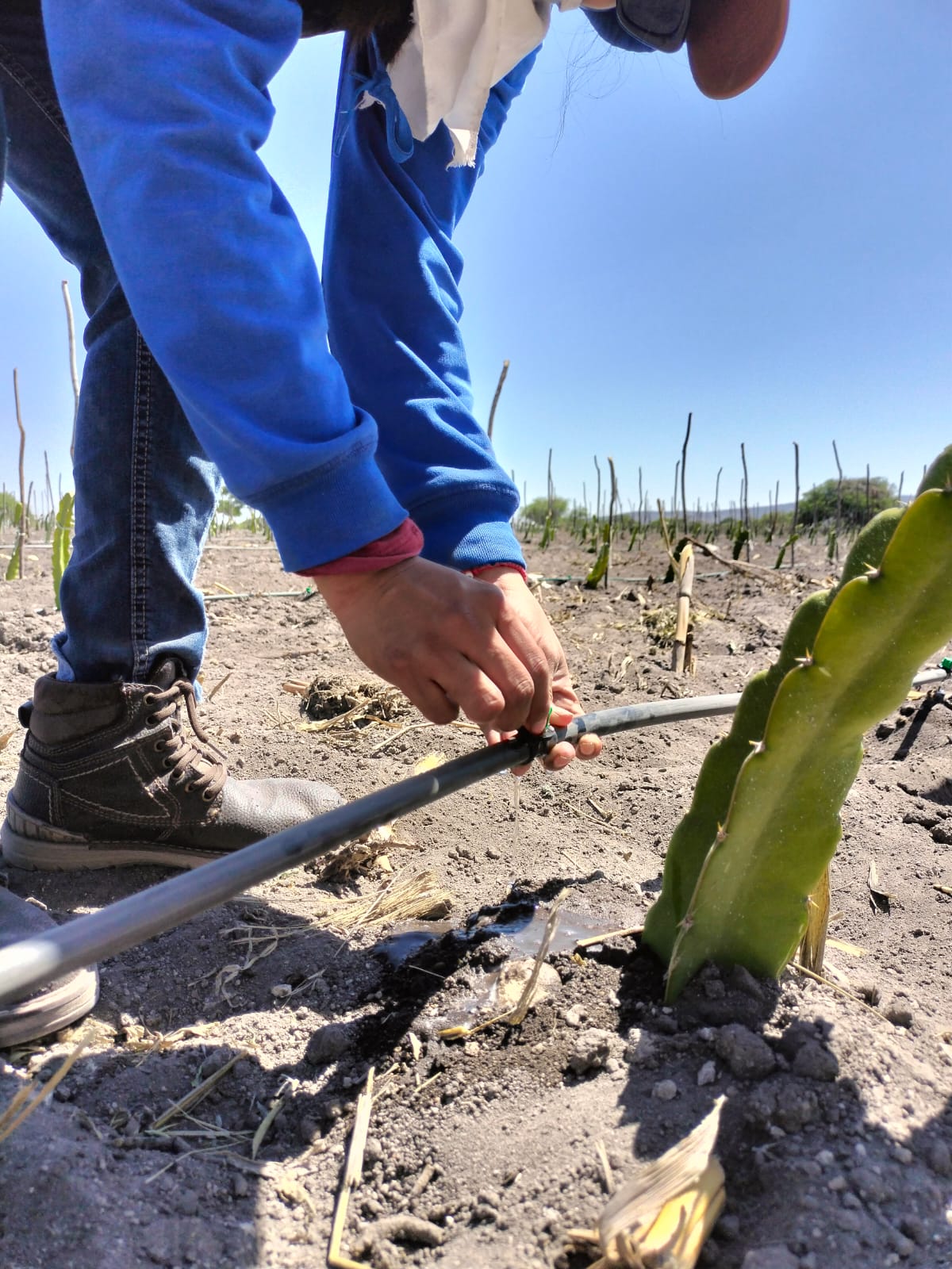 Responsabilidad Social