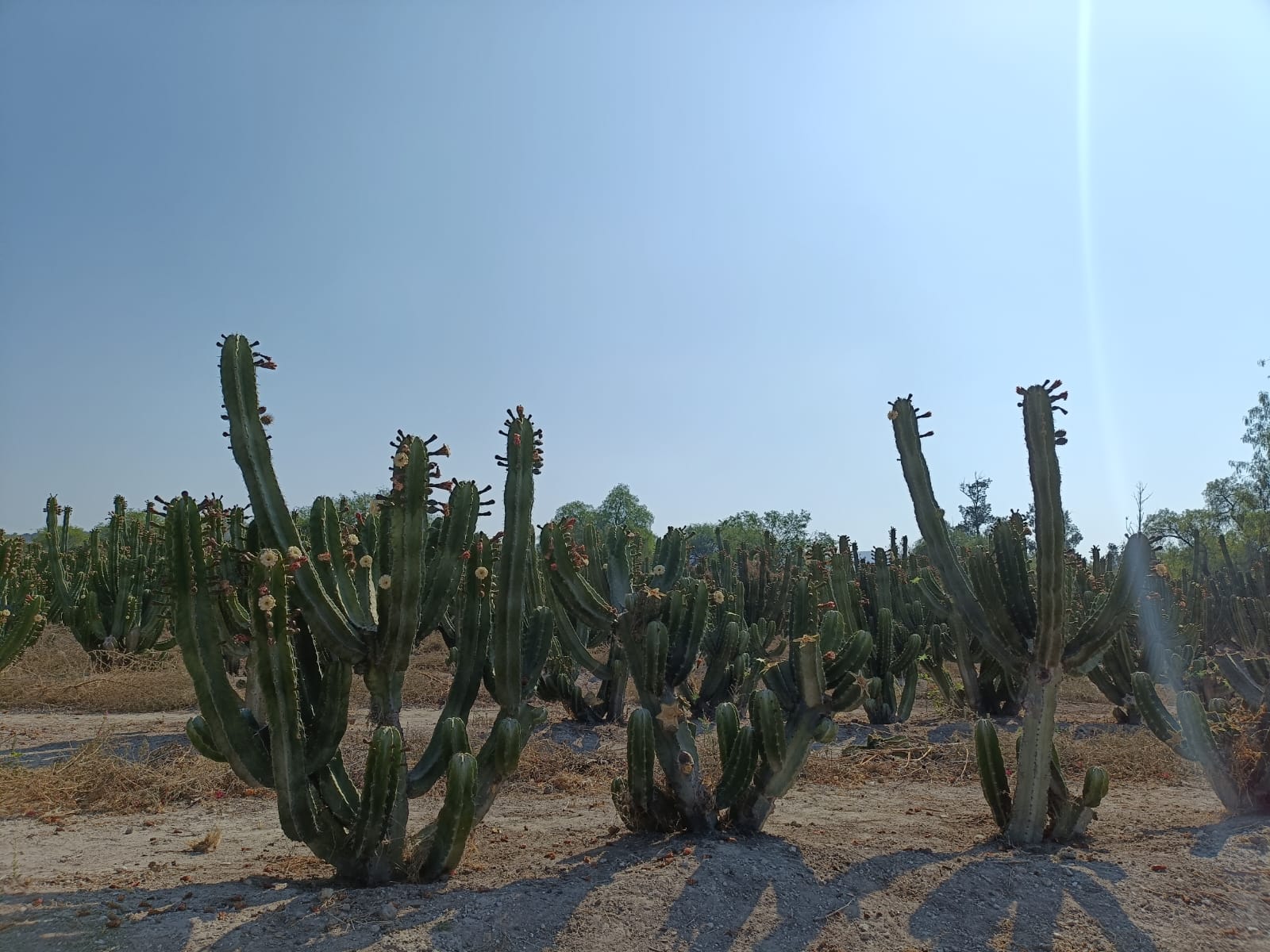 Prácticas Sostenibles