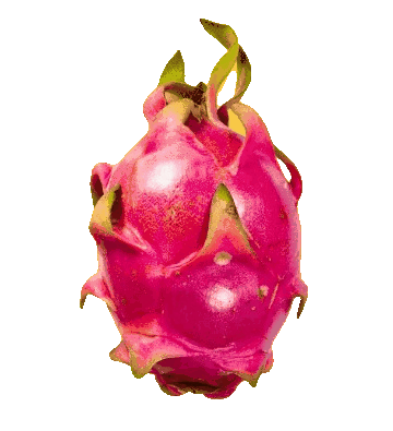 Loading Pitahaya