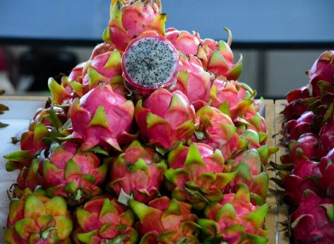 Venta por Pieza de Pitahaya, Pitaya y Tunillo
